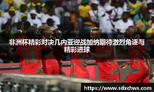 非洲杯精彩对决几内亚迎战加纳期待激烈角逐与精彩进球